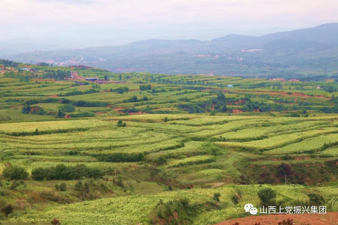振兴乡村工作总结,振兴乡村产业工作总结