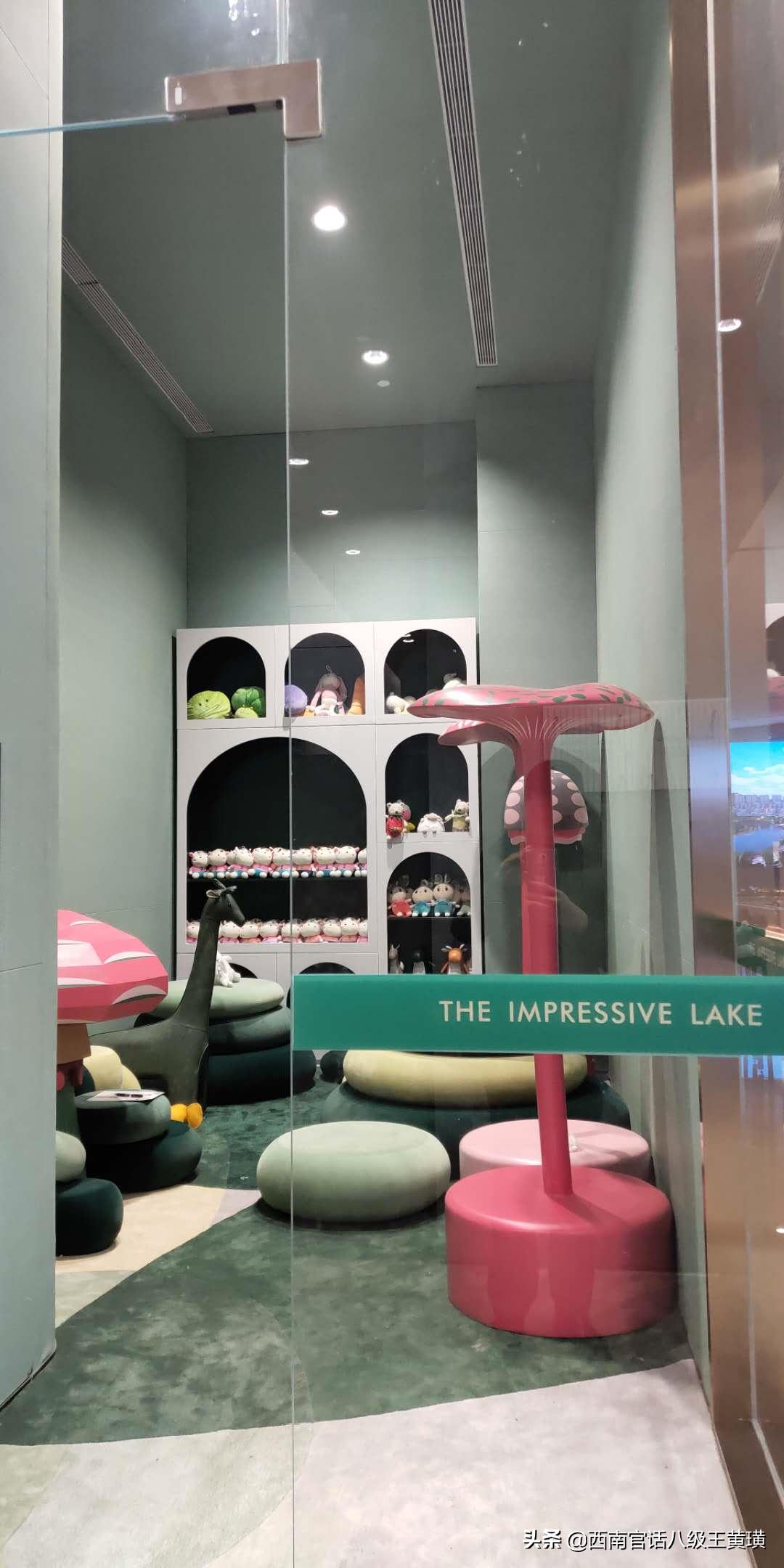 看房全过程讲解视频,实地看房买房攻略