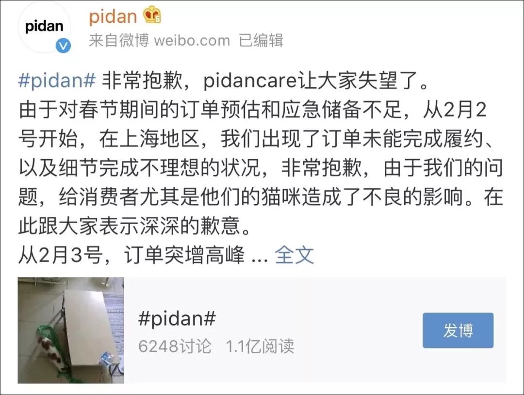 铲屎官旅游小猫咪开门,铲屎官出门猫咪躲床下