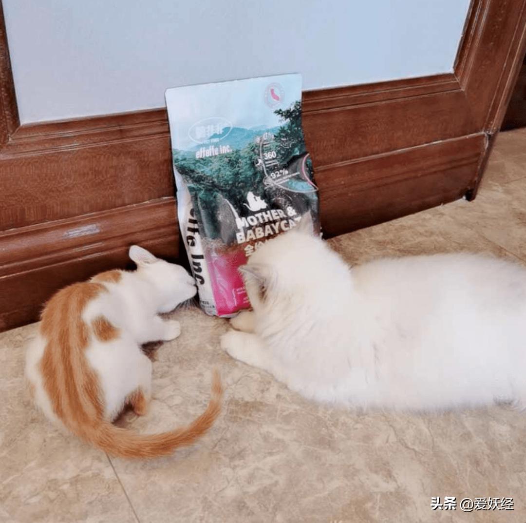 软便精有救了？干了这碗粮，养胃又护肠