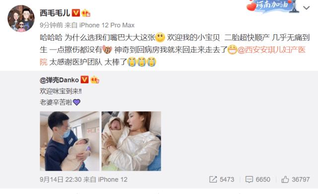 弹壳音乐官宣宝宝,弹壳二胎