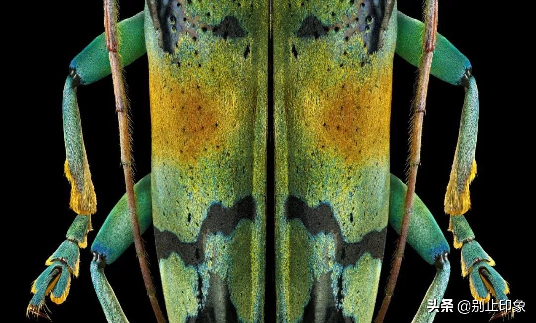 2400像素的画质,像素高就是画质清晰吗