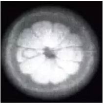 农场里走出CT鼻祖，美苏核危机诞生磁共振