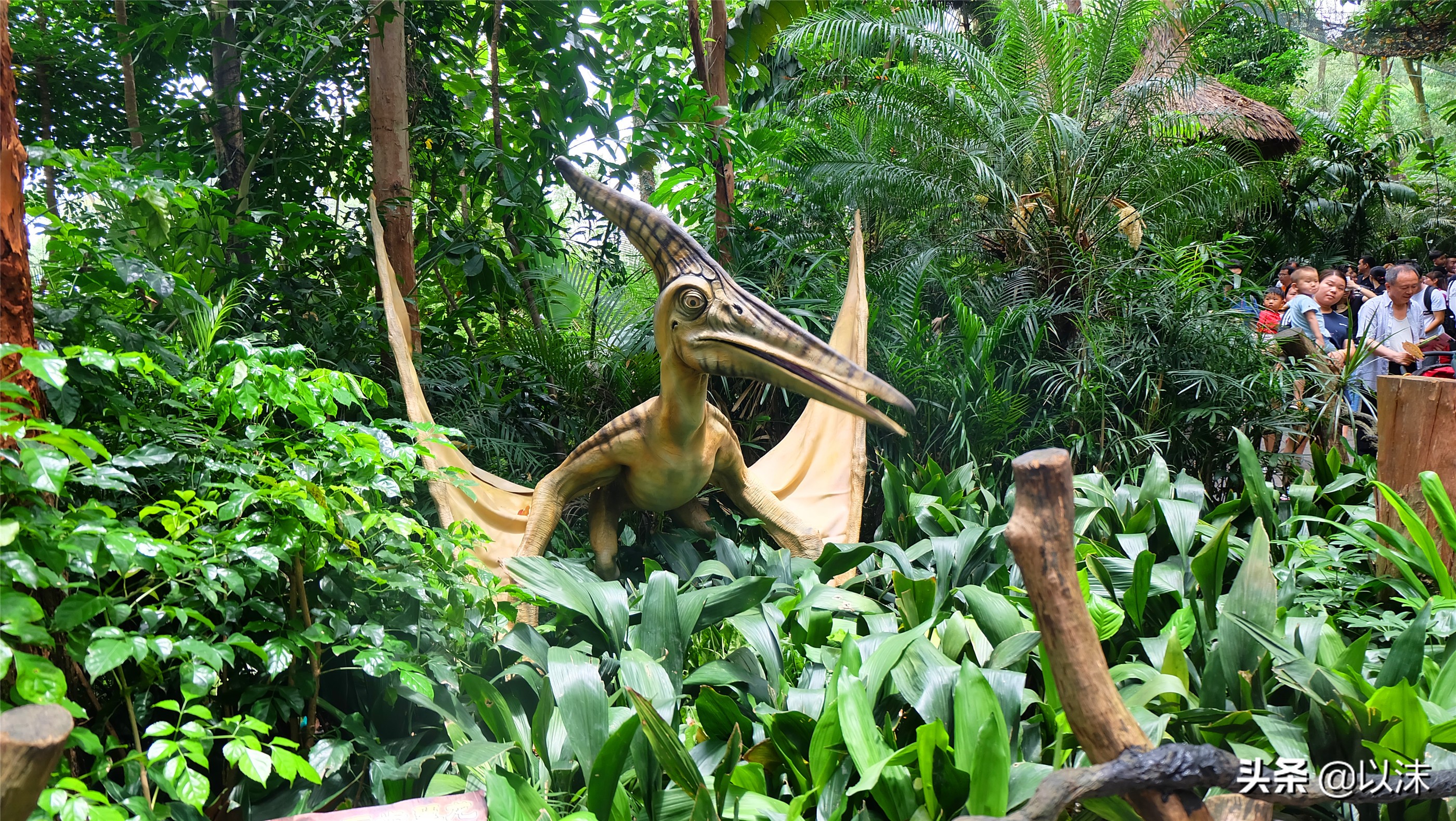 长隆野生动物世界游玩攻略,长隆野生动物世界带娃攻略