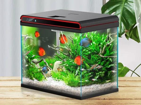 森森集团股份有限公司上市,森森集团上市了没有