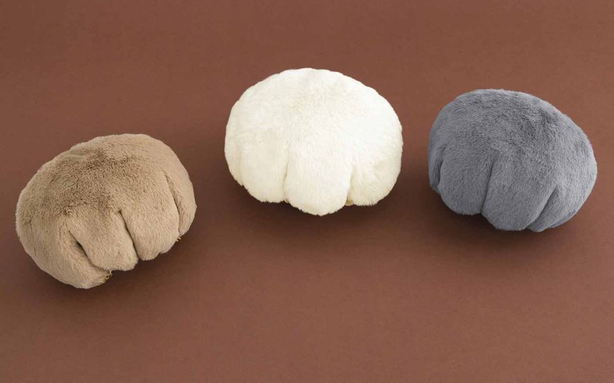 日本人又来骗猫奴们的钱啦!但我心甘情愿掏钱了!