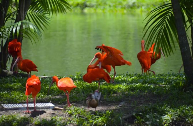 宸磋タ瓒崇悆鏃呮父,宸磋タ妗戝反娴锋哗鏀荤暐
