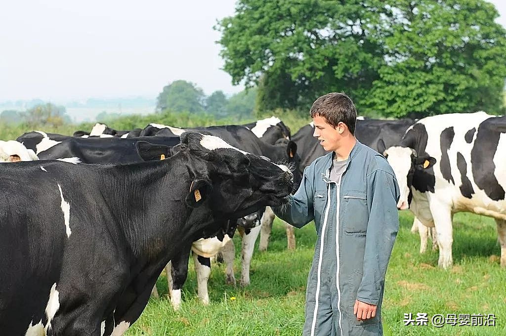张亮圣元国际有钱么,张亮圣元喜素力