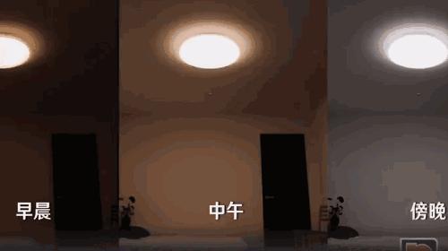 “我在为自闭症女儿奔波，你却让你妈吸雾霾”