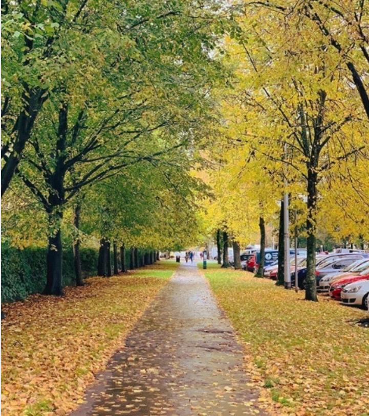 英国景色最好的大学,英国学费最便宜的十所大学