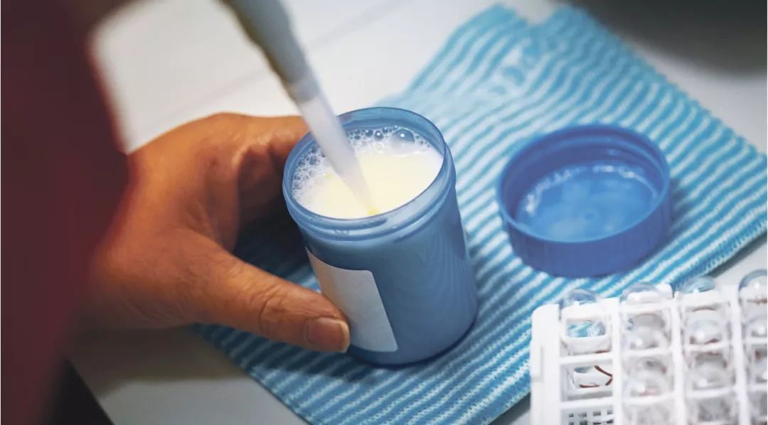 健身人群如何选择乳清蛋白粉,健身人群鸡蛋咋买