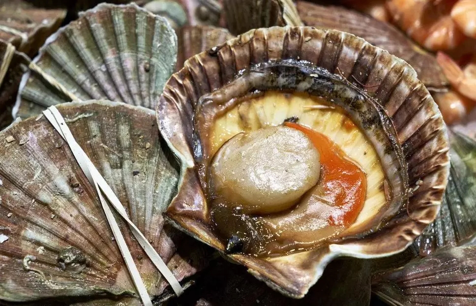 防城港市海鲜怎么挑,防城港海鲜扫货攻略附海鲜吃法