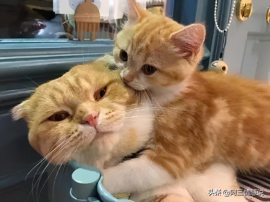 女朋友一点都不粘人什么情况,女朋友一点都不粘我怎么回事