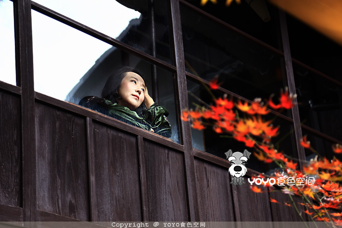 寻味青花鱼，探访「鲭街道」的起点：小浜