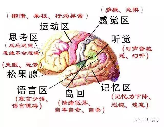 真实的吸毒者有多恐怖,吸毒后的恐怖事件