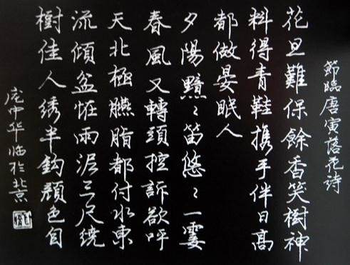 庞中华为什么硬笔书法争议这么大,庞中华书法有多厉害