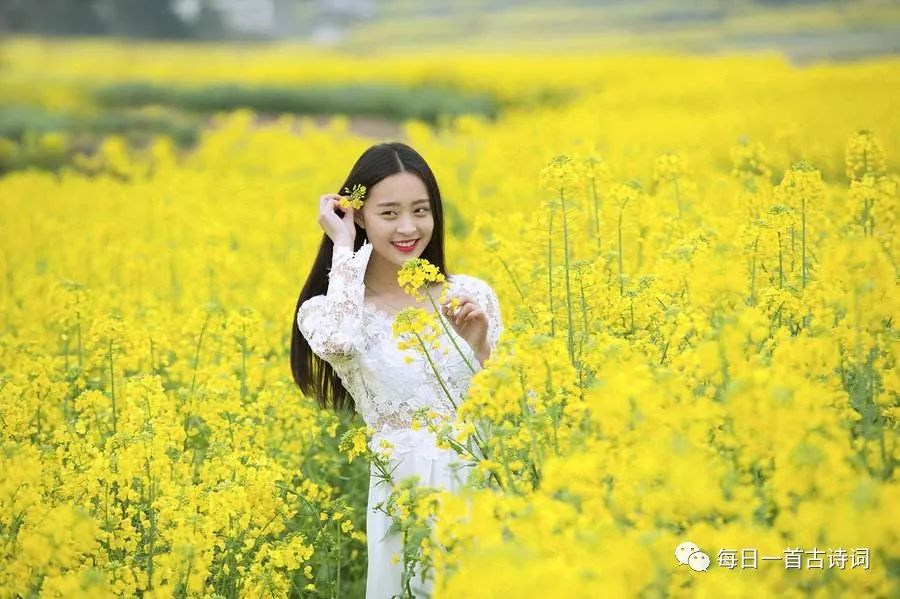 黄莉然飞花令,飞花令第6期完整版