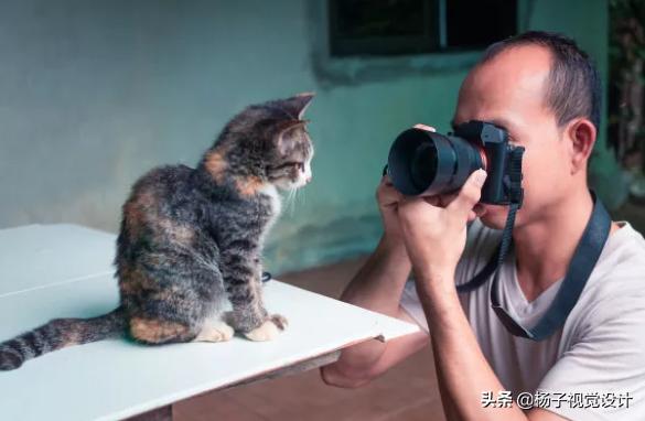 网上兼职挣钱的有哪些生意,未来最有前景的靠谱兼职生意