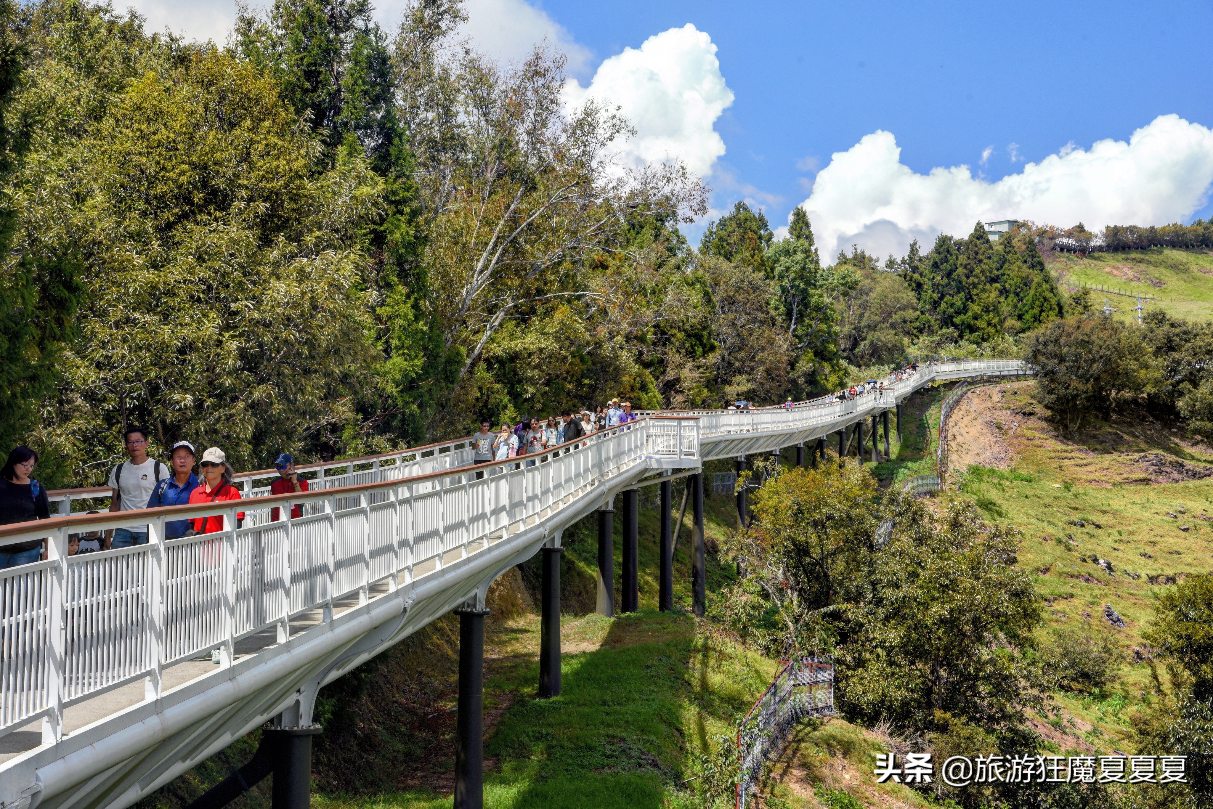 台湾适合亲子游的景点推荐,台湾清境农场游后感