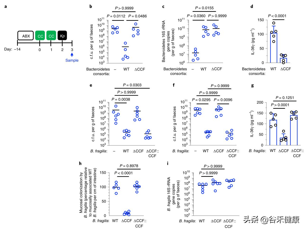 探索微生物奥秘演讲,微生物菌剂探索