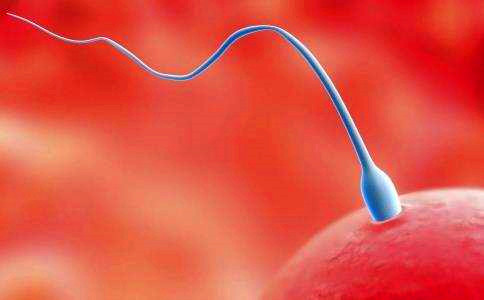 接受人工授精的女性，应该满足哪些条件？想要“好孕”其实并不难