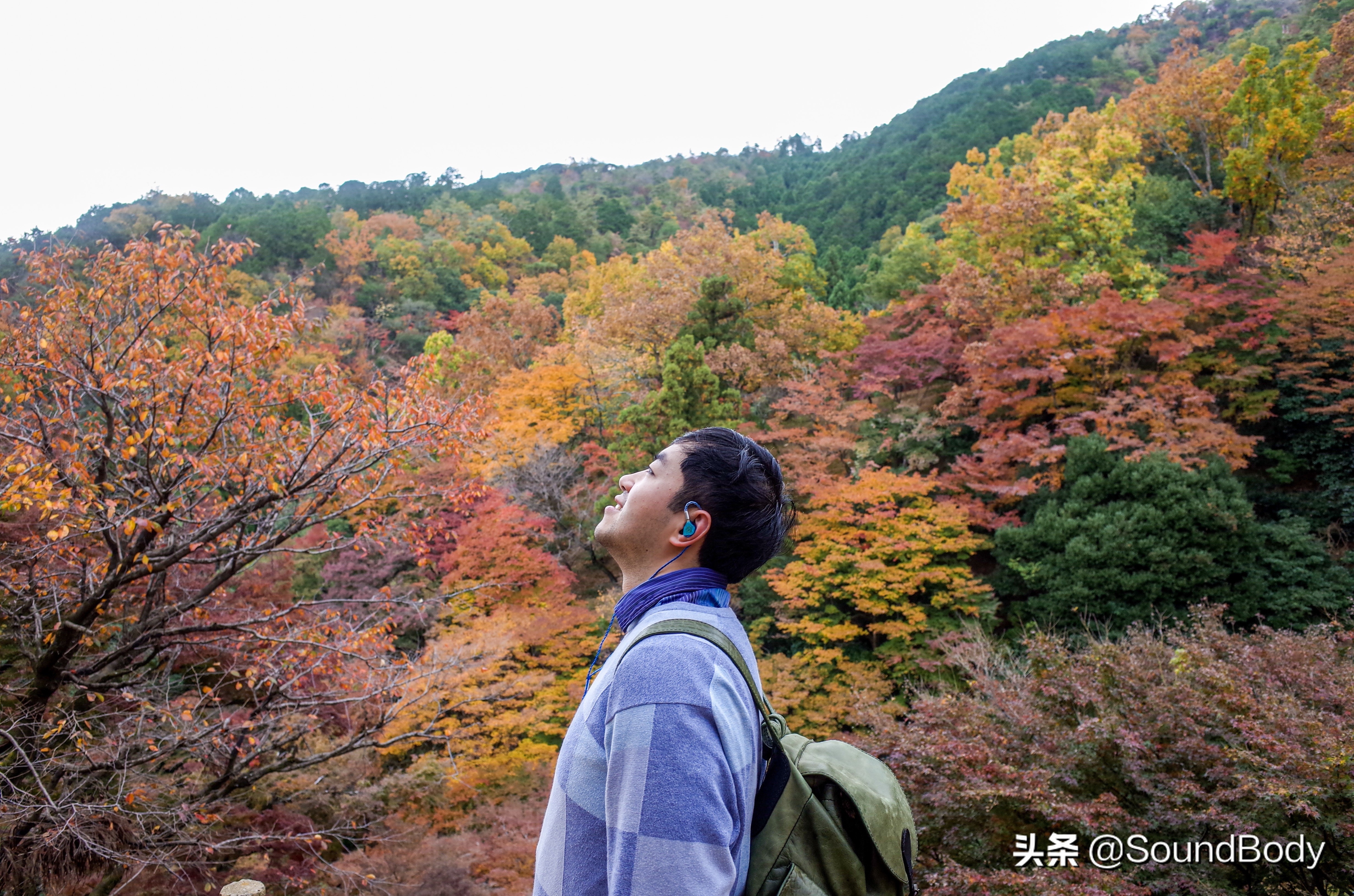 娆ц嫢鎷塧urora娴嬭瘎,娆ц嫢鎷塧urora璇勬祴