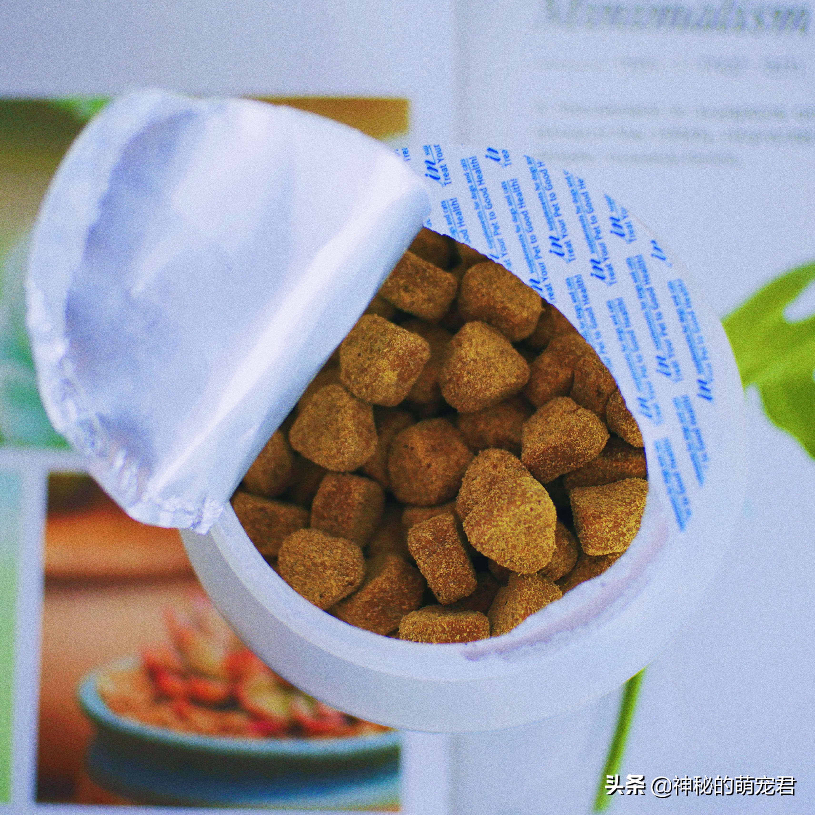 狗狗麦德氏卵磷脂,狗狗麦德氏卵磷脂一天吃多少粒