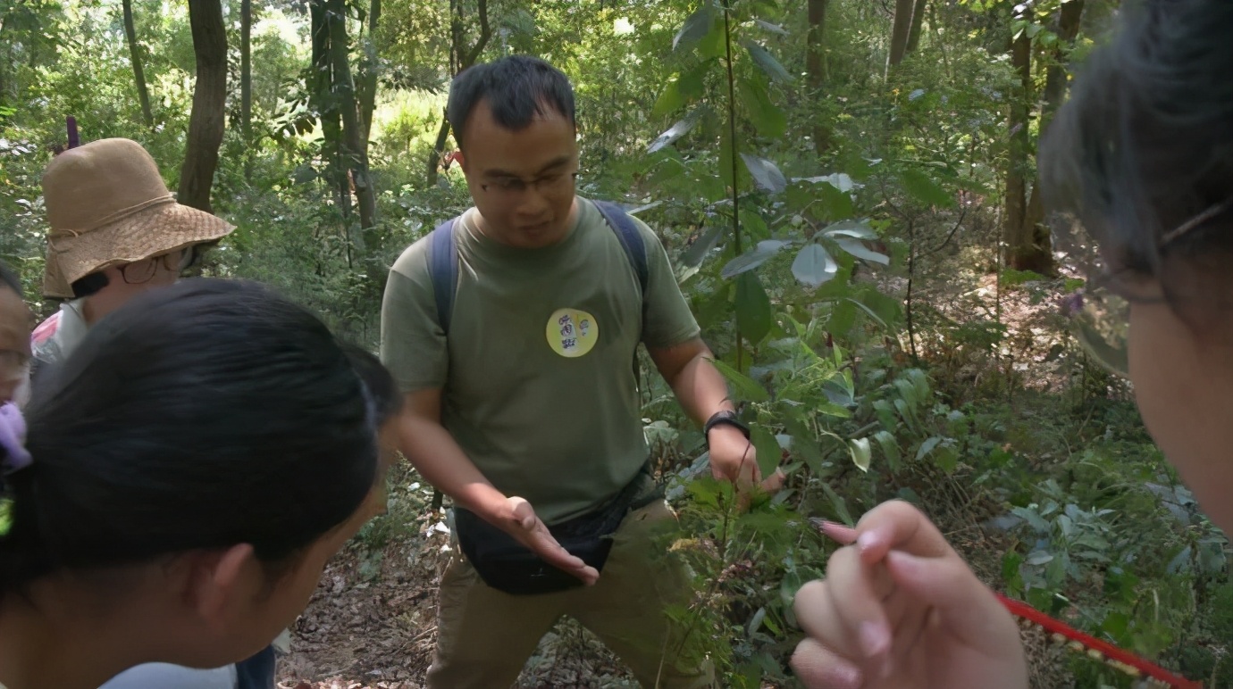 自然科学实验与创新课题,生态课题研究方案