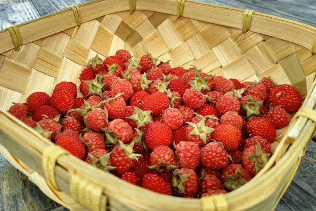 邂逅秋天的千岛湖！光看图已美醉，住这7家美宿避开人群赏湖景山色