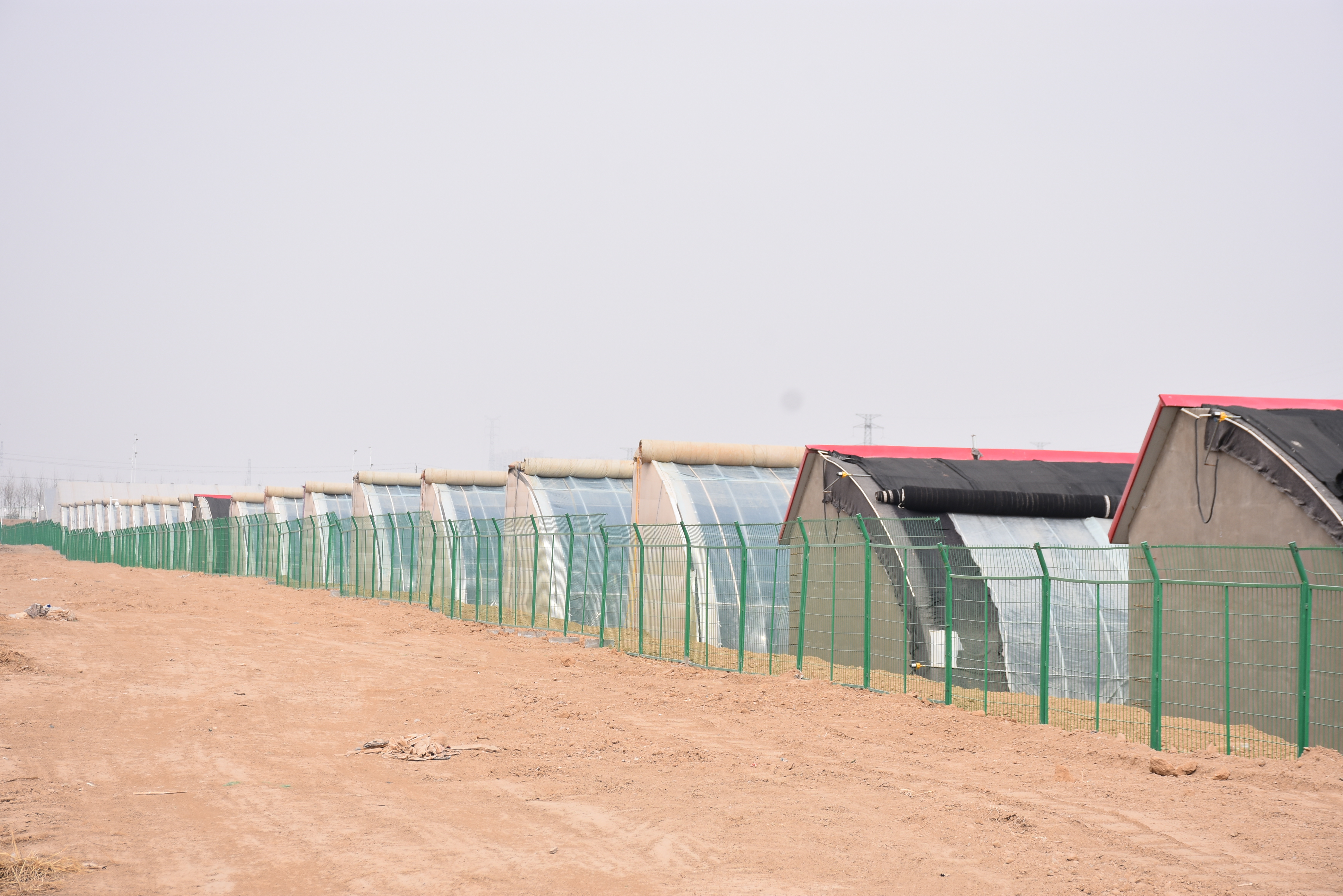 拼多多进军工业品,拼多多推出多多农园