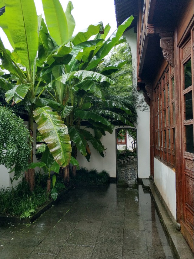 杭州西湖景点郭庄视频,杭州郭庄园林