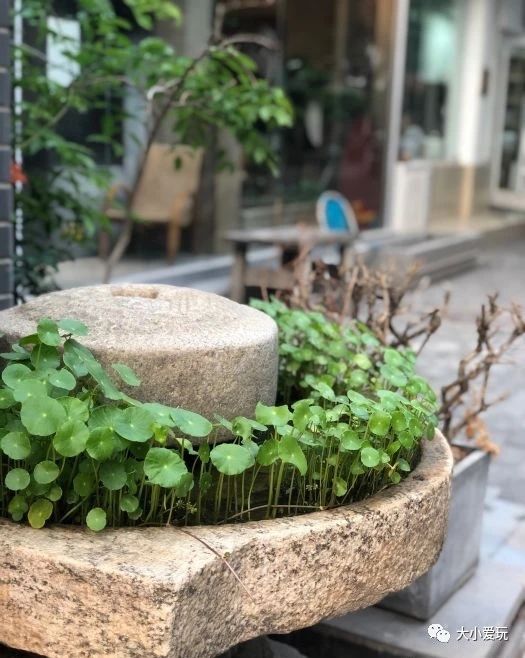 遛娃好去处暑假带娃去哪儿玩呢,一秒穿越到国外的地方