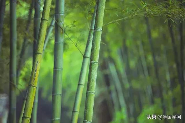 不怕红面关公就怕白面菩萨,不怕红脸关公就怕黑脸包公