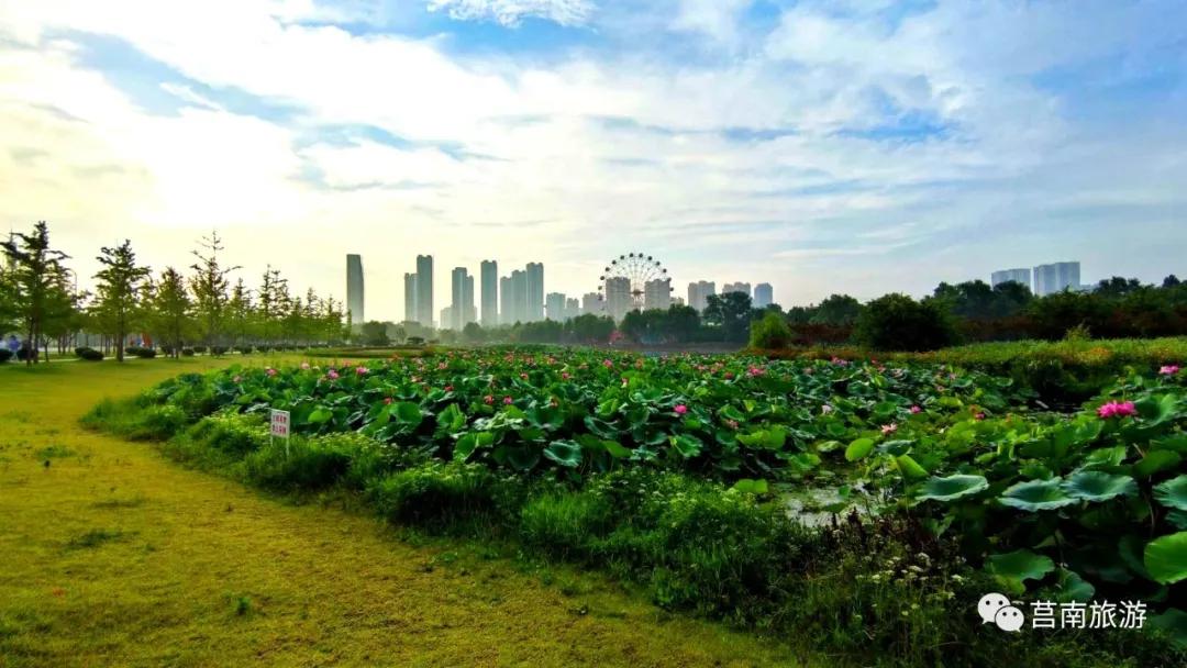 莒南自驾游免费景点大全图片,莒南春季游玩好去处推荐