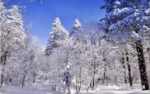 摩擦力防滑势头正劲，到总部考察客户络绎不绝