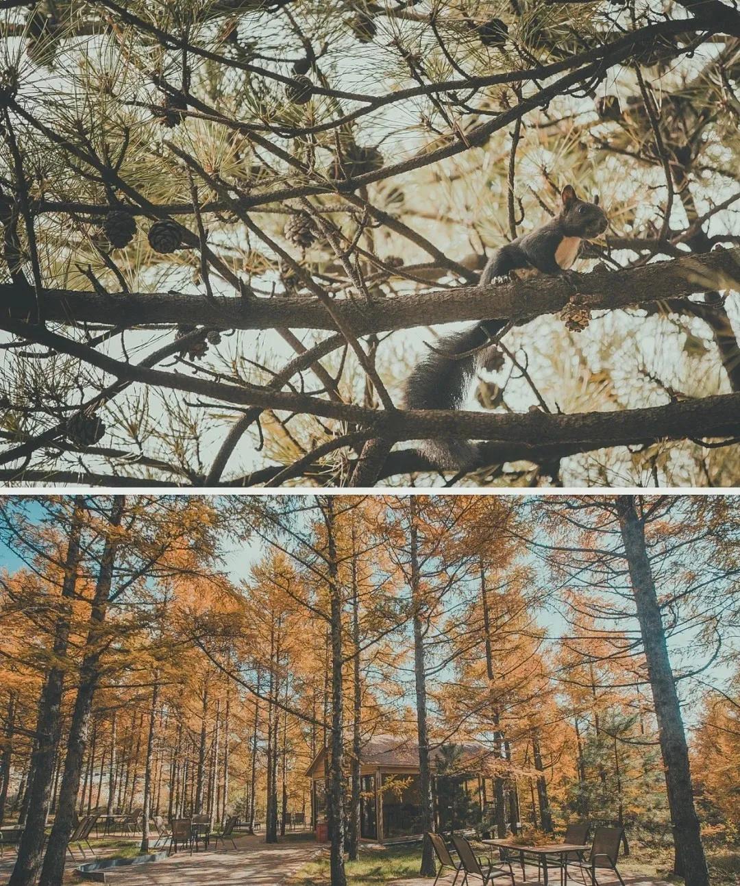 天津周边古镇一日游最佳路线,天津附近古镇免费游一日游攻略