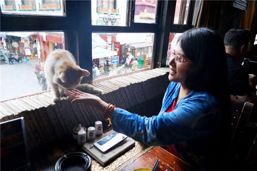 去拉萨旅游的步行街,突然想去拉萨的心情