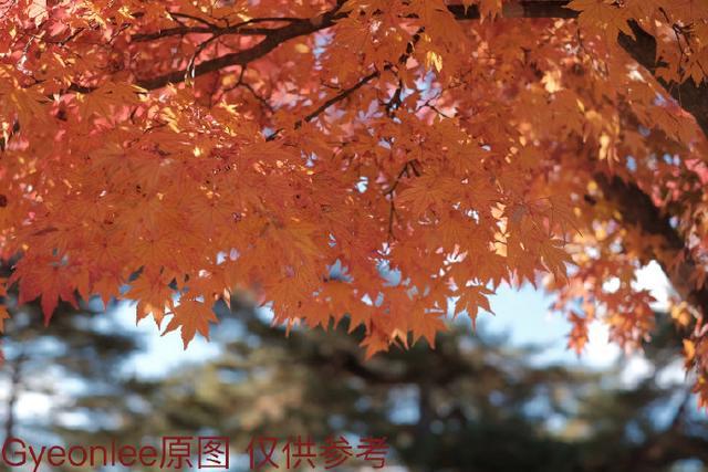 富士x100v与富士pro3,gyeonlee摄影教学