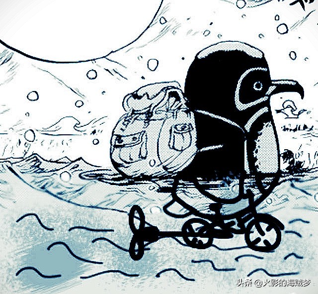 海贼王青雉大将出现,青雉怎样找到他的企鹅的