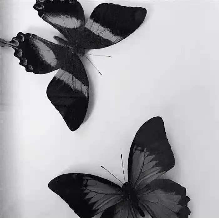 朋友之上恋人未满的下一句是什么,朋友之上恋人未满是备胎吧