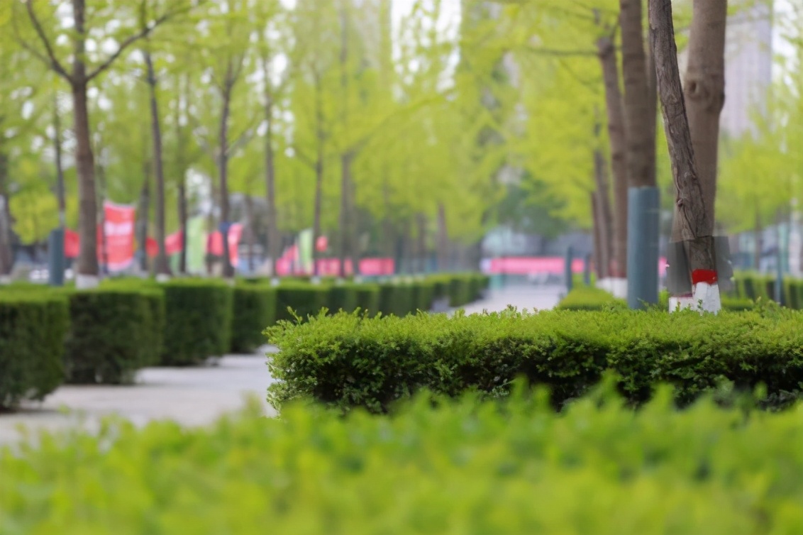 又一名单出炉！西安邮电大学这个专业进入全球工程教育第一方阵