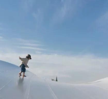 新晋网红打卡地池杉林,小红书网红打卡点