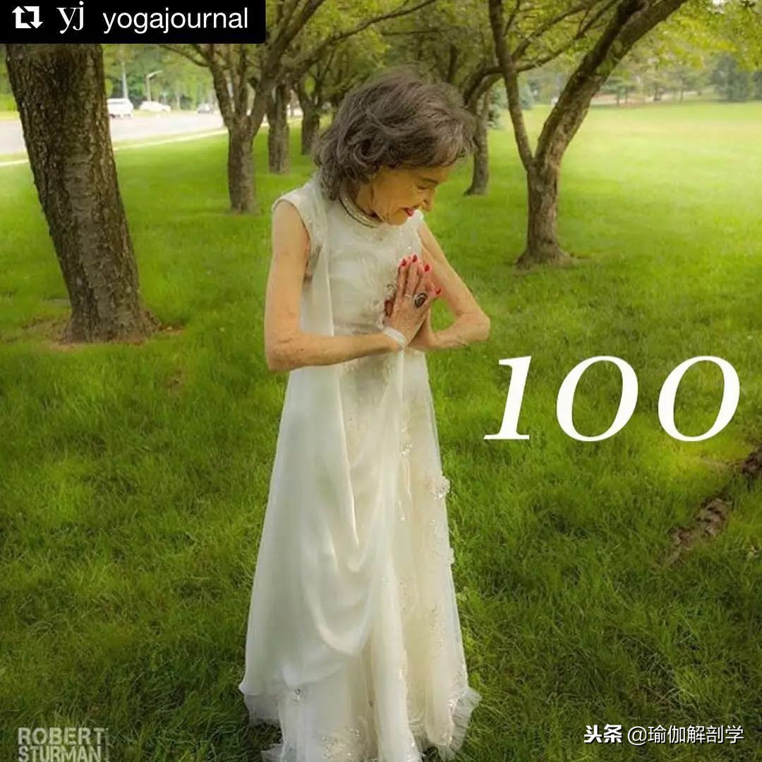 100张瑜伽图片大全,24张瑜伽照片模板最新