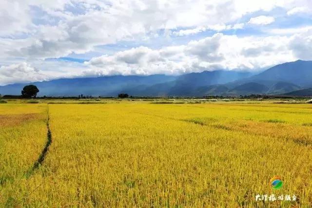 云南适合深秋游玩的地方,云南的秋天适合去哪些景点