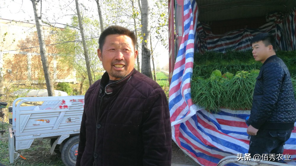 一亩地搞种植业可以赚多少钱,农村农业种植业哪种能赚钱