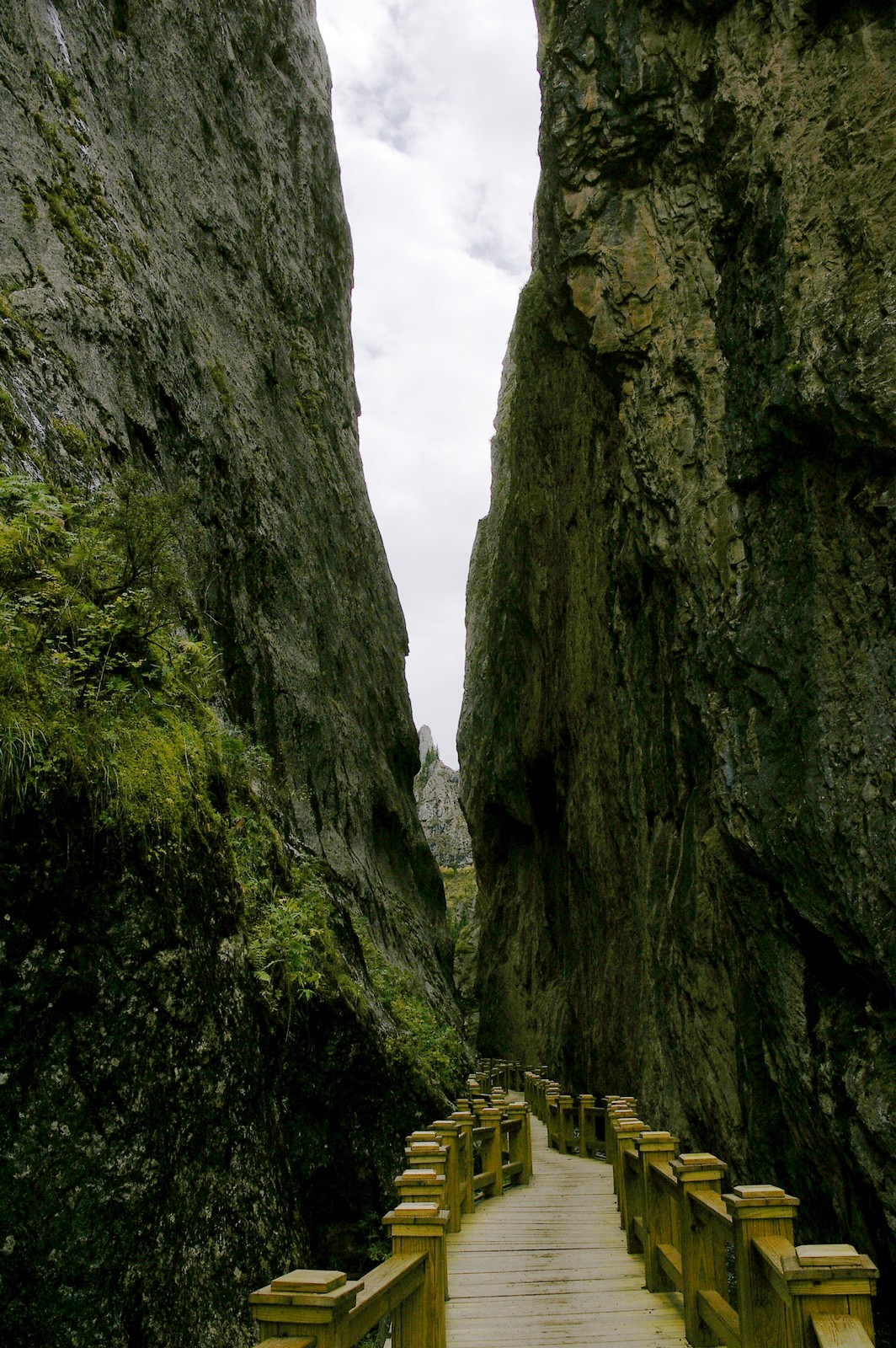 甘南则岔石林有什么好玩的地方,甘南碌曲则岔石林