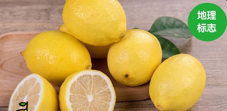 齐心抗疫·地标助农|安岳柠檬，小清新香飘四海