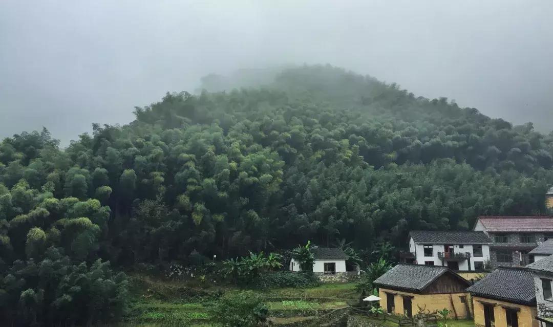 399元无边泳池,无边泳池抖音优惠团购