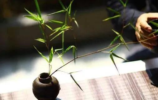 中国五大茶旅胜地,中国十大茶旅城市有哪些