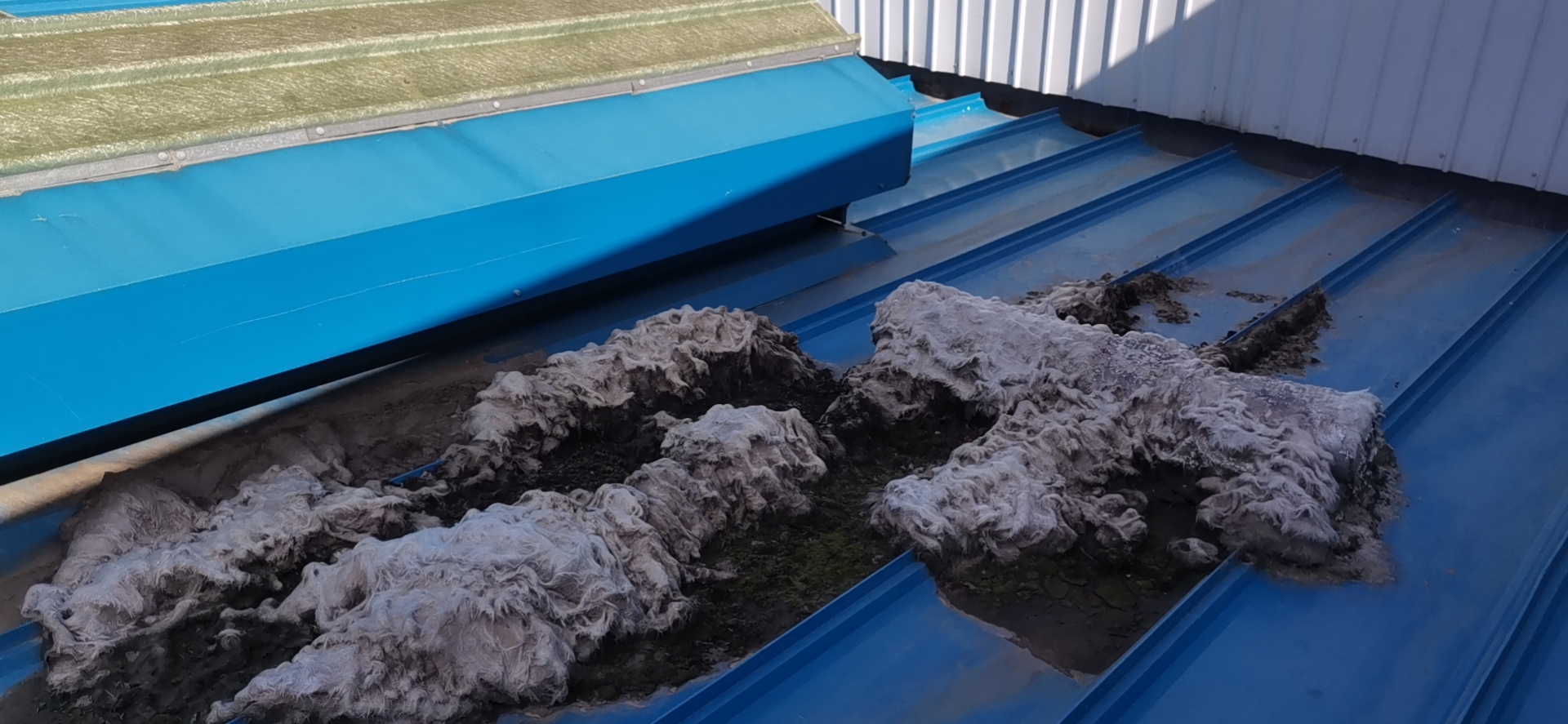 清理工厂地面灰尘,工业厂房屋顶垃圾清理